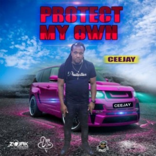 Protect My Own - Single