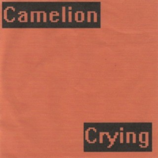 Camelion