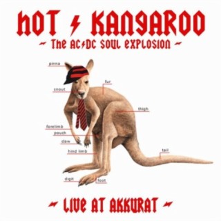 Hot Kangaroo