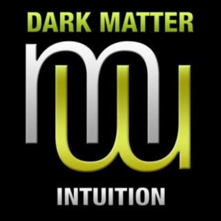 Intuition