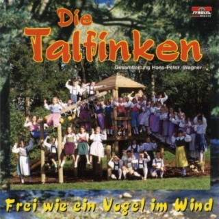 Die Talfinken