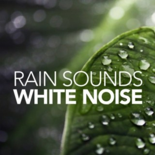 Rain Sounds & White Noise