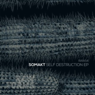 Self Destruction EP