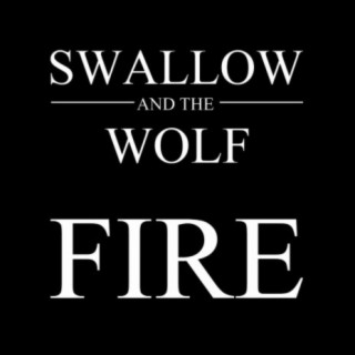 Swallow and the Wolf