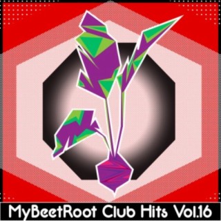 MyBeetRoots Club Hits, Vol. 16
