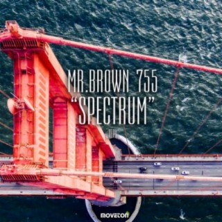 Mr. Brown 755