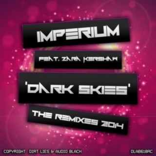 Dark Skies (The Remixes 2014)