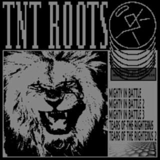 TNT Roots