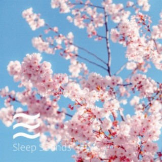 Pink Noise Baby Sleep Spring Collection