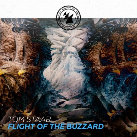 Flight Of The Buzzard | Boomplay Music