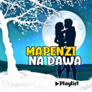 Mapenzi Na Dawa Playlist!!
