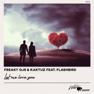 Freaky DJs, KaktuZ, Flashbird