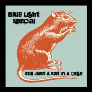 Blue Light Special