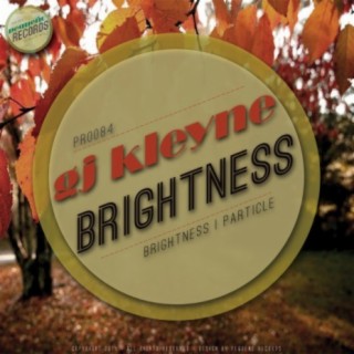 Brightness E.P