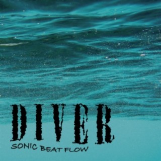 Diver