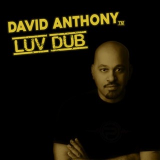 Luv Dub (Radio Mix)
