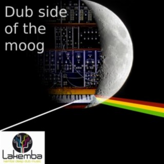 Dub Side of The Moog