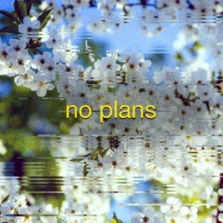 No Plans