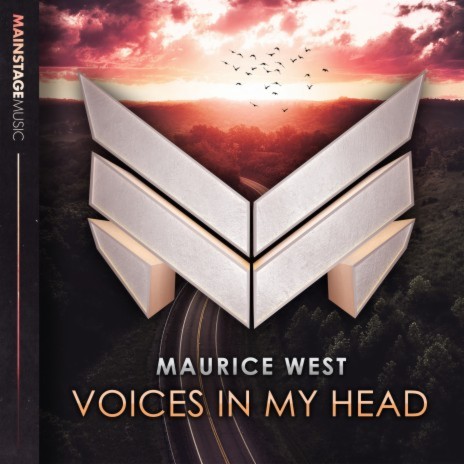 Voices In My Head | Boomplay Music