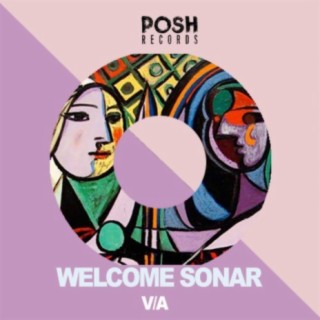 Welcome Sonar