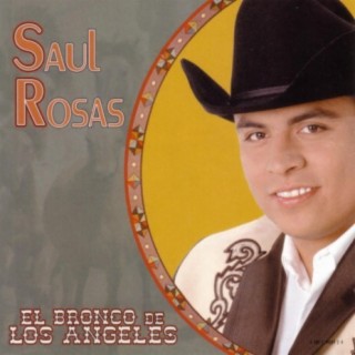 Saul Rosas