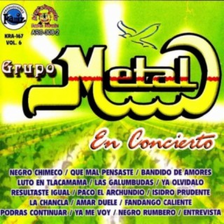 Grupo Metal