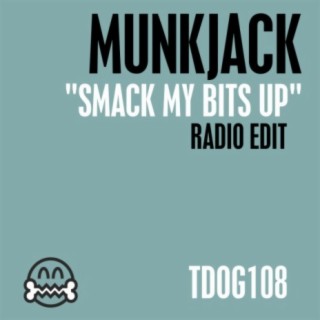 Smack My Bits Up (Radio Edit)