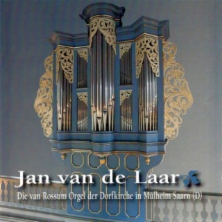 Jan Van De Laar
