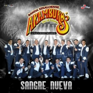 Banda Sinaloense Aramburos De El Limon