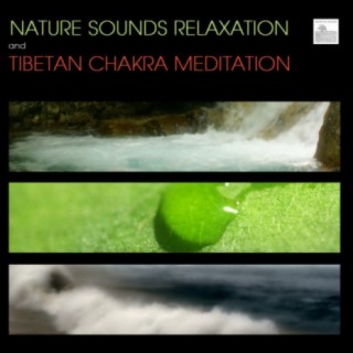 Sounds of Nature White Noise for Mindfulness Meditation and Relaxation