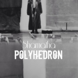 Polyhedron