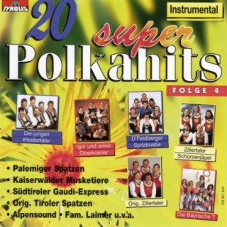 20 Super Polkahits - Folge 4 - Instrumental