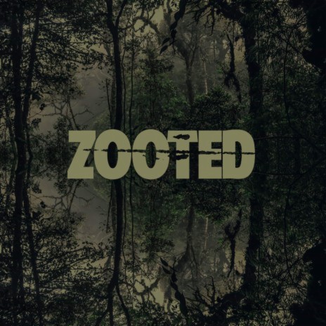 Zooted | Boomplay Music