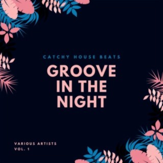 Groove In The Night (Catchy House Beats), Vol. 1