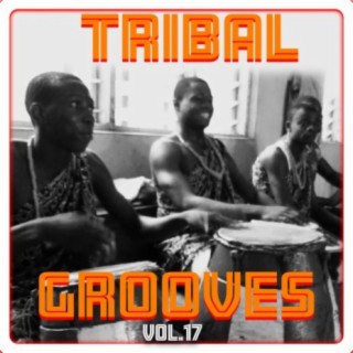 Tribal Grooves, Vol. 17