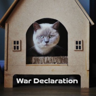 War Declaration