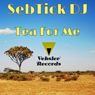 SebTick DJ