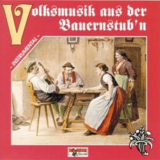 Volksmusik aus der Bauernstub'n