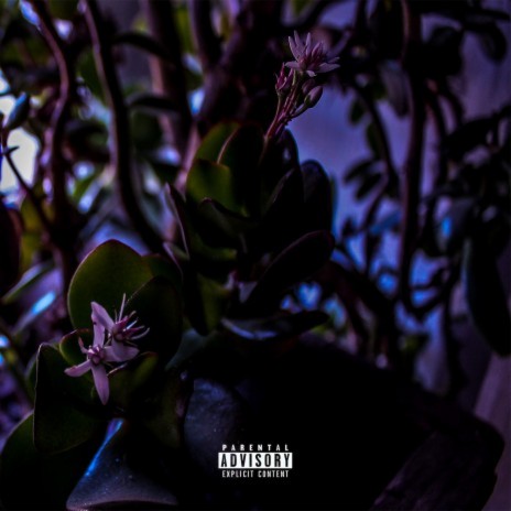 Flowers | Boomplay Music