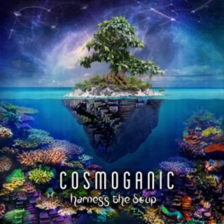 Cosmoganic