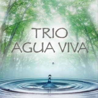 Trio Agua Viva