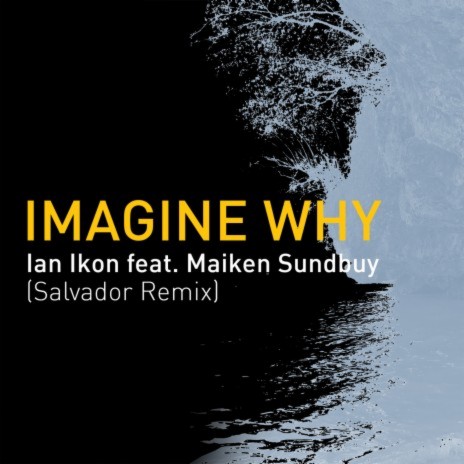 Imagine Why (Salvador Remix) ft. Maiken Sundby | Boomplay Music