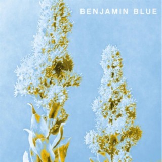 Benjamin Blue