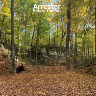 Arrester