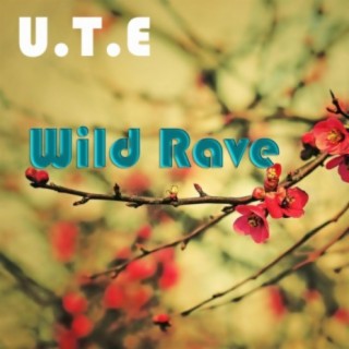 Wild Rave