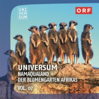 ORF Universum Vol.7