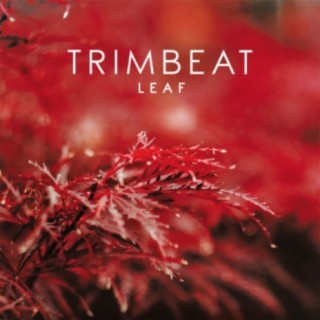 Trimbeat