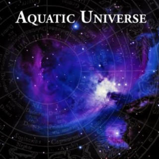 Aquatic Universe