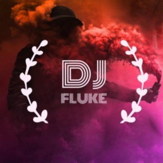 DJ Fluke