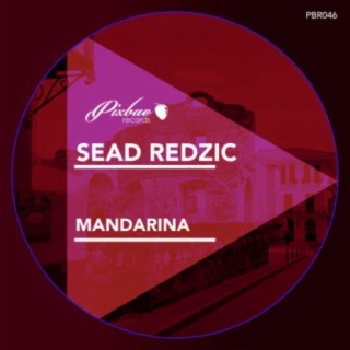 Sead Redzic